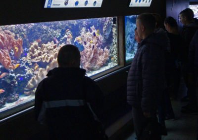 Wycieczka 2019
